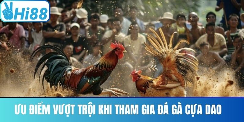 Ưu điểm vượt trội khi tham gia Đá Gà Cựa Dao 