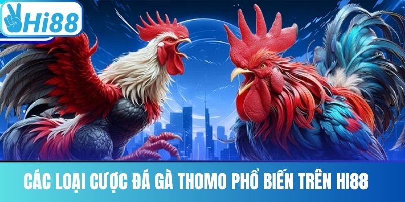 Các Loại Cược Đá Gà Thomo Phổ Biến trên Hi88 