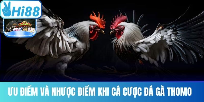 Ưu Điểm và Nhược Điểm Khi Cá Cược Đá Gà Thomo