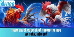 Tham Gia Cá Cược Đá Gà Thomo Tại Hi88 An Toàn, Hiệu Quả