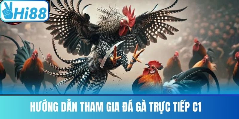 Hướng dẫn tham gia đá gà trực tiếp C1 