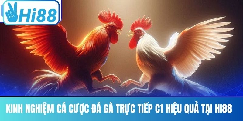 Kinh nghiệm cá cược đá gà trực tiếp C1 hiệu quả tại Hi88