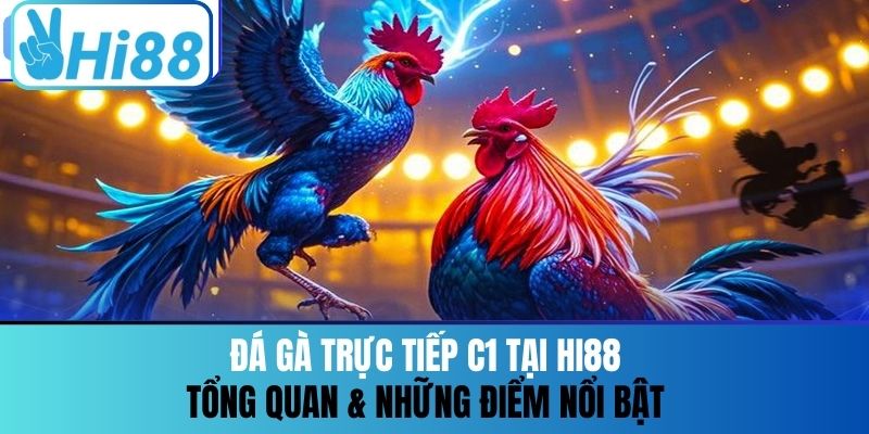 Đá Gà Trực Tiếp C1 Tại Hi88 - Tổng Quan Những Điểm Nổi Bật