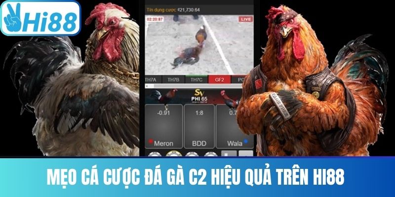 Mẹo Cá Cược Đá Gà C2 Hiệu Quả Trên Hi88