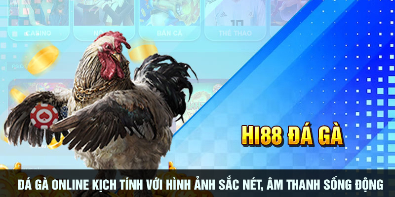 Đá gà online kịch tính với hình ảnh sắc nét, âm thanh sống động